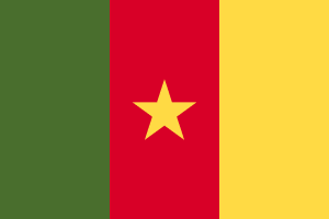 Cameroon Flag