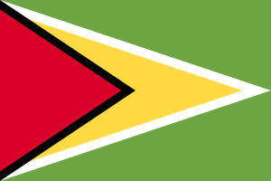 Guyana Flag